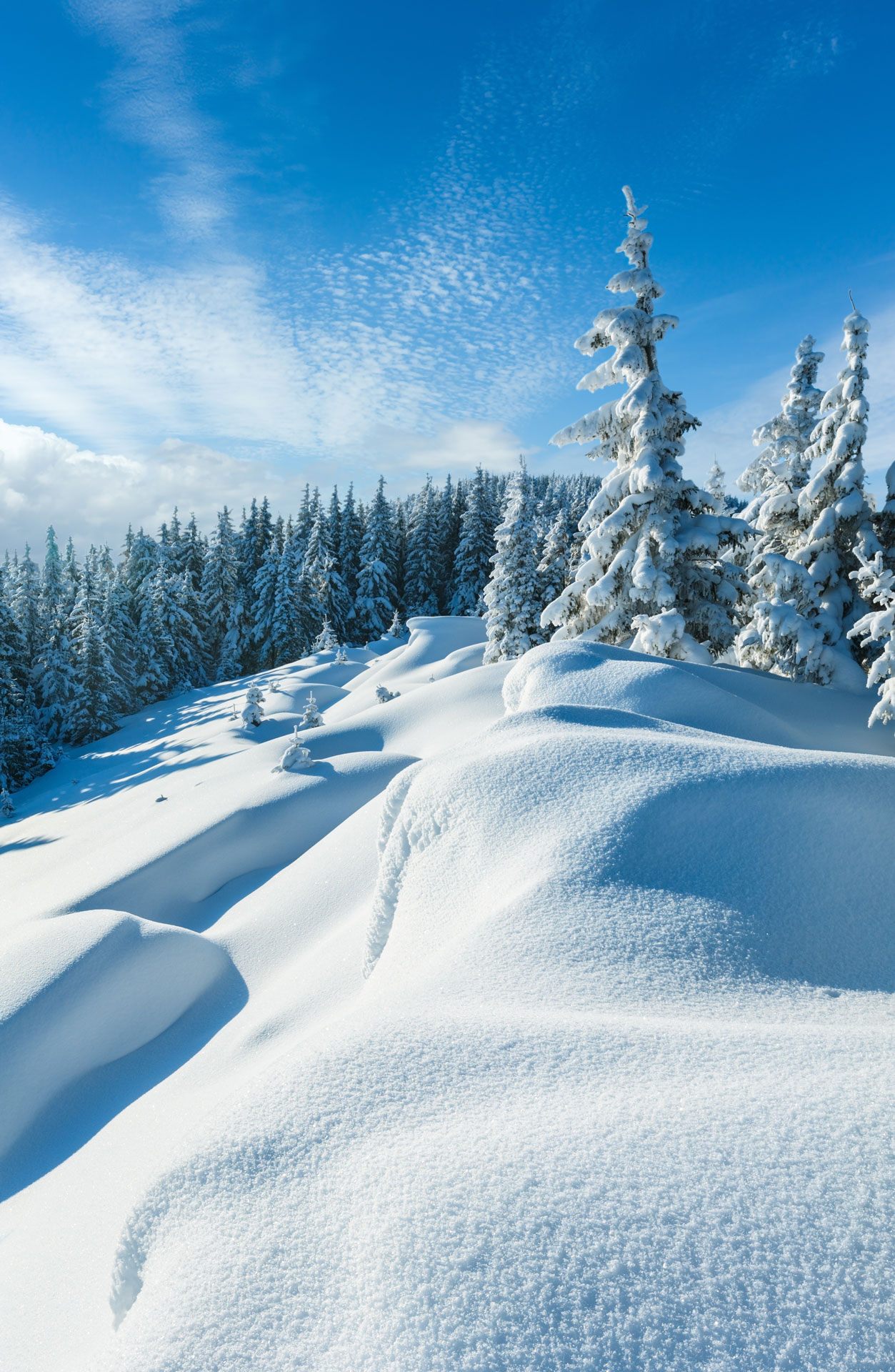 Snowdrifts on winter snow covered mountainside