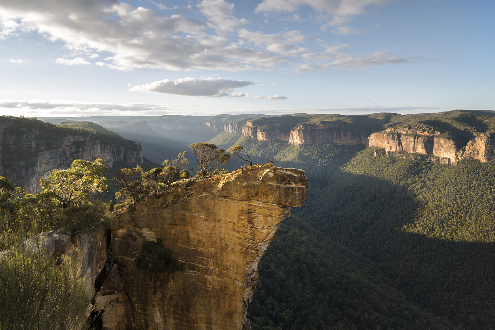 Trees ontop of a rocky outcrop in the Blue Mountains Australia