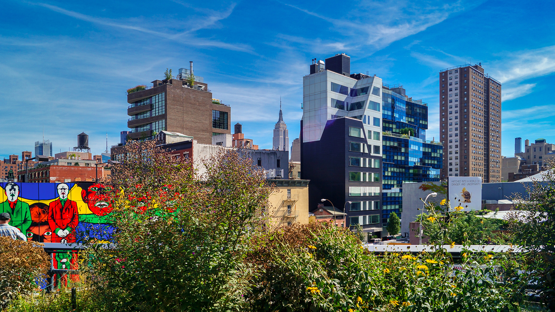 Colourful buildings behind trees at The High Line in New York