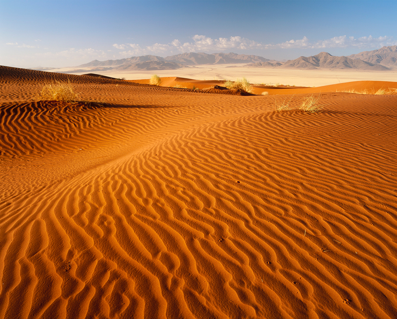 A vast desert landscape with rippled sand dunes under a clear blue sky, showcasing the natural patterns and textures formed by wind erosion.