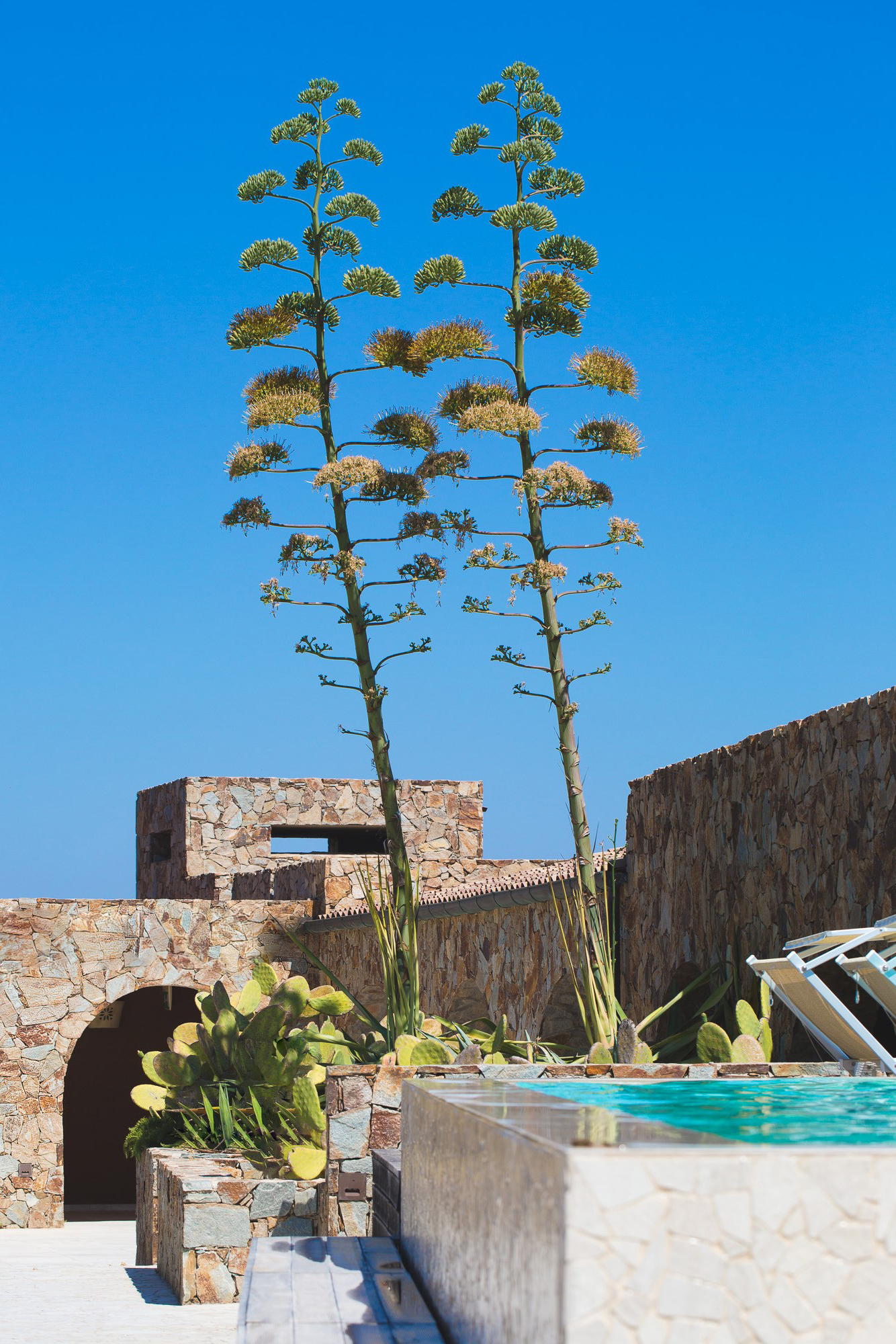 A stone building with archways behind large trees and greenery with a glimpse of a pool on the foreground